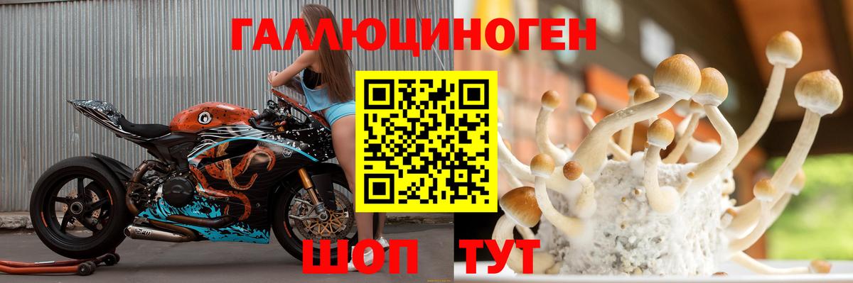 Псилоцибиновые грибы Psilocybe Вольск