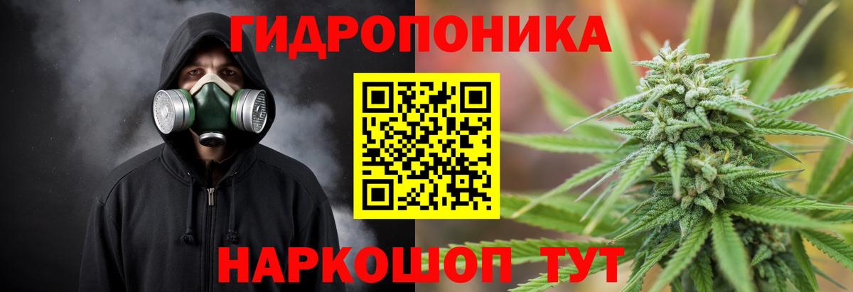 Бошки марихуана LSD WEED  Вход с VPN  Конопля ГИДРОПОН  Вольск  Бошки Шишки LSD WEED 